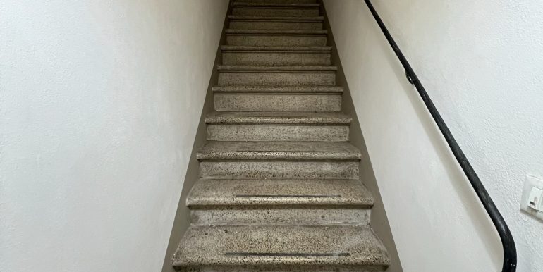 IMG_9904